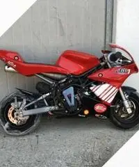 Midi moto dm 50 cc Midi moto dm 50 cc