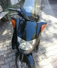 Honda foresight 250 cc.  2000 Honda foresight 250 cc.  2000