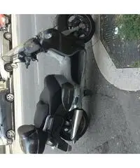Scarabeo 500