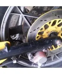 suzuki katana 550, 1981, no targhe