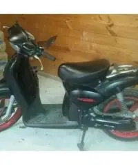 scarabeo 50