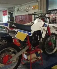 Ami 50-1985