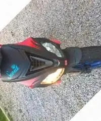 Aprilia SR 50 factory - 2008 Aprilia SR 50 factory - 2008