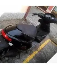 Benelli 491 - 2016