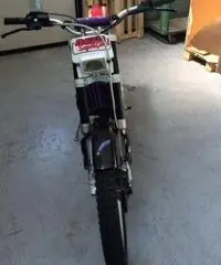 Trial beta 50