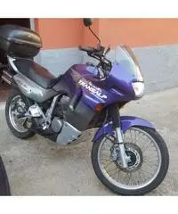 Honda transalp