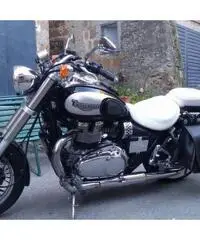 Triumph America