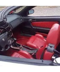 Alfa spider gtv 916