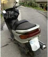 Majesty 250