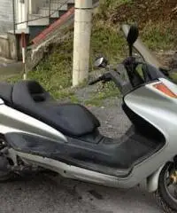 Majesty 250