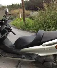 Majesty 250
