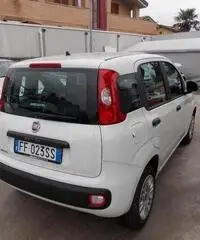Fiat Panda 1.2 Easy  X NEOPATENTATI