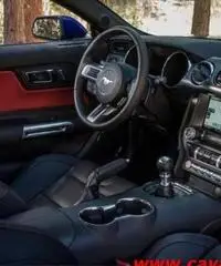 FORD Mustang Fastback 5.0 GT - Uff. Italiana ORDINABILE FORD Mustang Fastback 5.0 GT - Uff. Italiana ORDINABILE