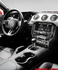 FORD Mustang Fastback 5.0 GT - Uff. Italiana ORDINABILE FORD Mustang Fastback 5.0 GT - Uff. Italiana ORDINABILE