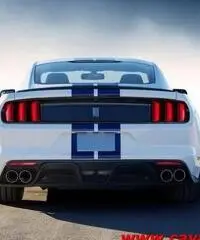 FORD Mustang GT 350 Shelby