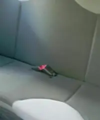 CITROEN C1 1.0 3 porte C1TY