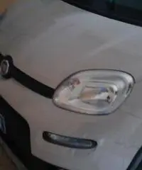 Vendo panda4x4