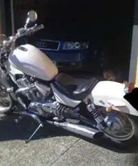 INTRUDER 800 INTRUDER 800