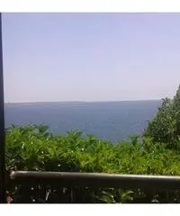 Cerco te.. la mia metà. Cerco te.. la mia metà.