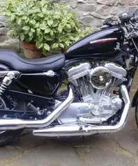 883 low 2007 ie
