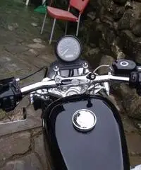 883 low 2007 ie