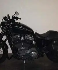 H-D SPOSTER 1200 NIGHTSTER