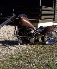 CUSTOM DA ESPOSIZIONE