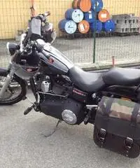 Harley wide glide