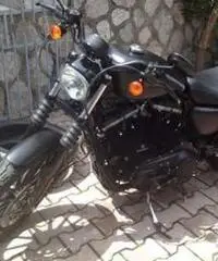 Harley-davidsono 883 iron