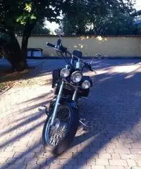 HONDA SHADOW VT 600 HONDA SHADOW VT 600