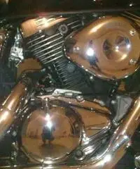 Marauder vz 800 Marauder vz 800