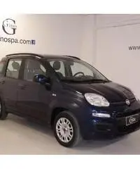 FIAT Panda 1.2 Lounge - AZIENDALE