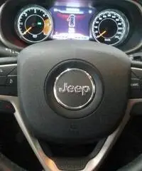 JEEP Cherokee 2.0 Mjt II Limited