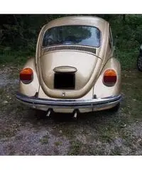 Maggiolone serie speciale big bug