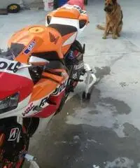 Cbr 1000 rr replica gp 2013