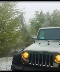 vendo jeep wrangler 2.8 CRD dpf sport