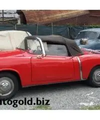 FIAT 1100 1100 TV cabrio (VALUTO PERMUTE )