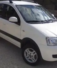 Panda 4x4, 1.3 multijet climbing