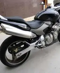 Honda Hornet 600 colore nero - 2006