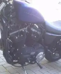 Harley Davidson Iron Harley Davidson Iron