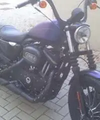 Harley Davidson Iron Harley Davidson Iron