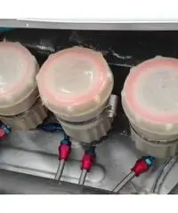 Vendesi lancia Delta evoluzione gr A abarth ex Erraniteam