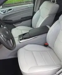 Mercedes-Benz ML 250 BlueTEC 4Matic Premium AMG