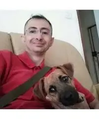Amicizie serie Amicizie serie