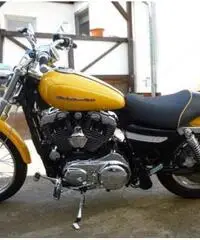 Harley-Davidson Sportster 1200C Harley-Davidson Sportster 1200C
