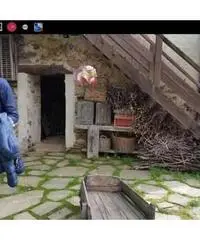 Ragazza seria cercasi Ragazza seria cercasi