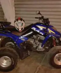 Kymko kxr 250 sports