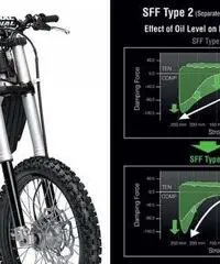 Kawasaki motocross kxf 250 mod. 2015
