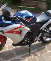CBR 250