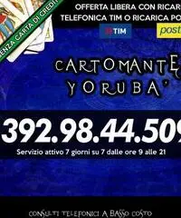 (¯`’•.¸(¯`’•.¸*♫♪♥( CARTOMANTE YORUBA )♥♫♪*¸.•’´¯)¸.• ‘´¯) (¯`’•.¸(¯`’•.¸*♫♪♥( CARTOMANTE YORUBA )♥♫♪*¸.•’´¯)¸.• ‘´¯)